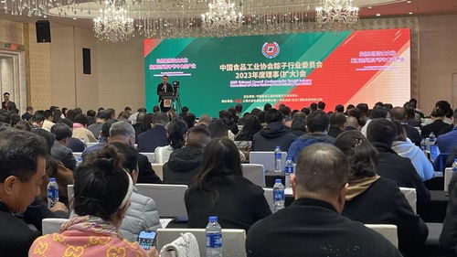 粽香飄四海，百億啟新程——2023全國粽子行業(yè)理事會擴(kuò)大會議暨文化藝術(shù)交流活動圓滿召開